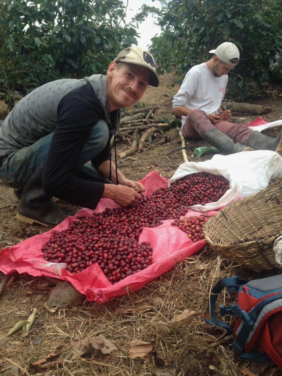 Mad Catter Coffee Roasters Allentown farm