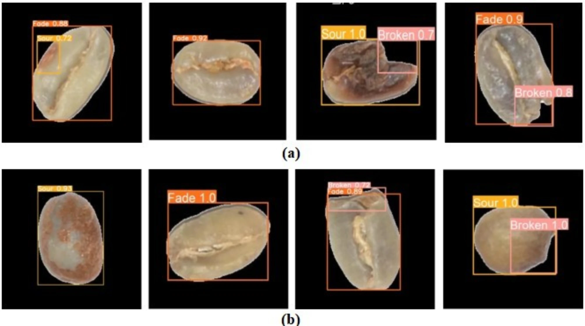 Researchers Discover Extremely Correct AI Algorithm for Espresso Defect DetectionDaily Espresso Information by Roast Journal