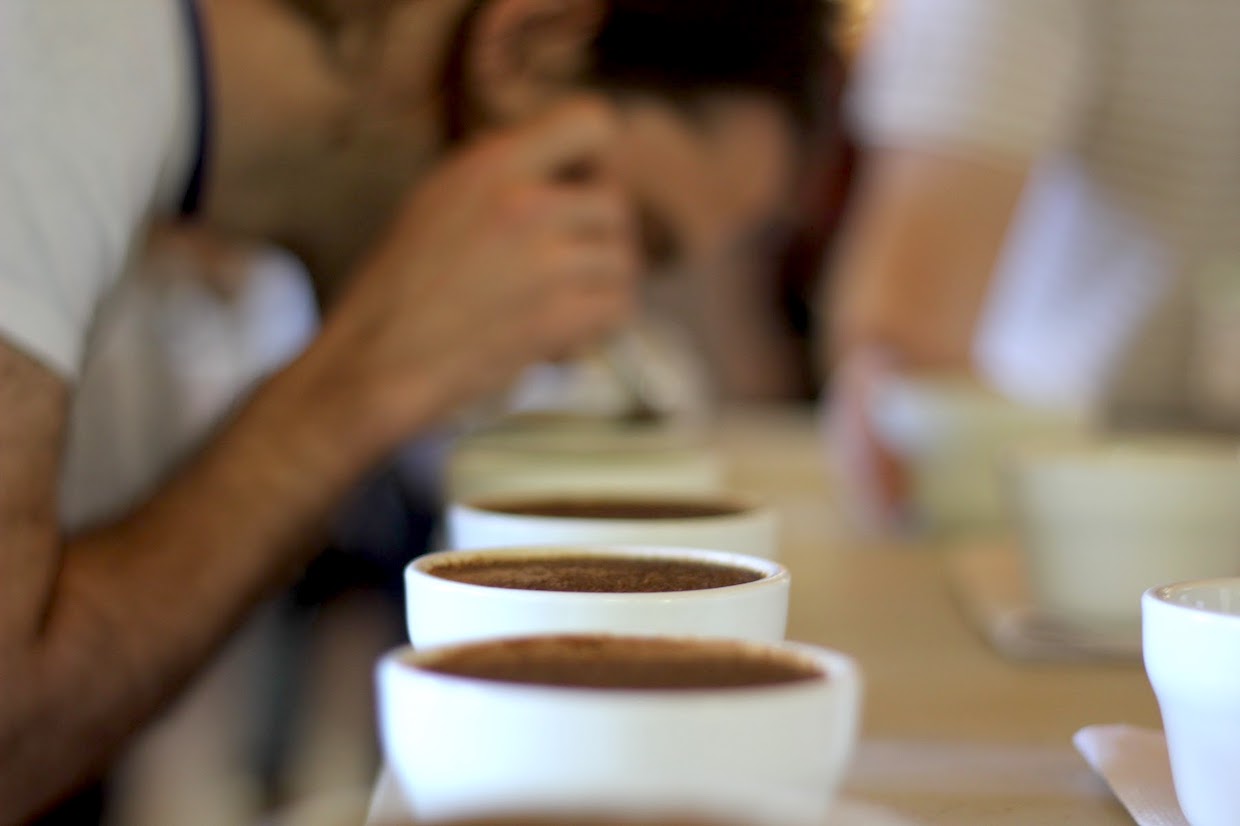 coffee cupping