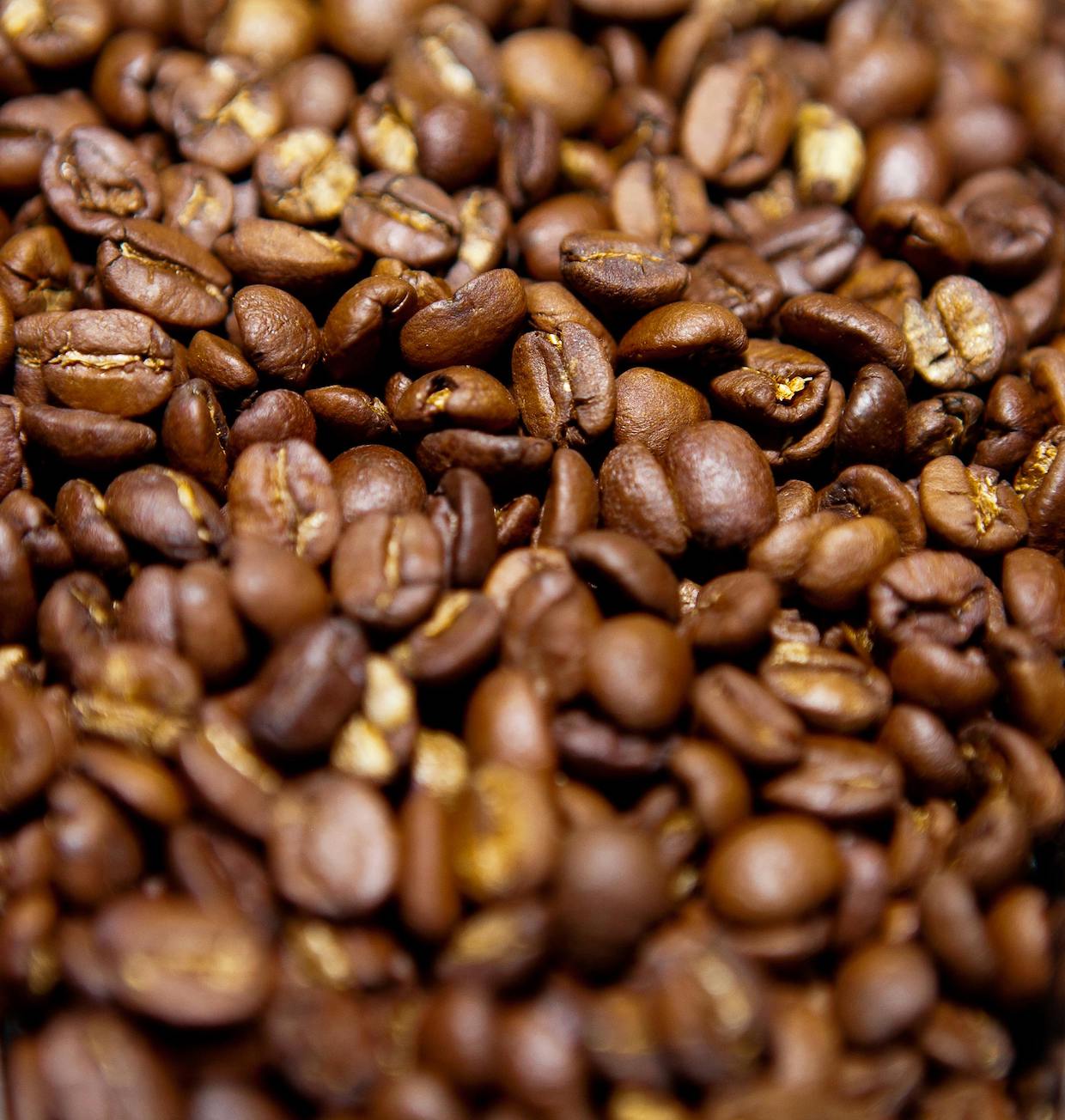 roasted coffee