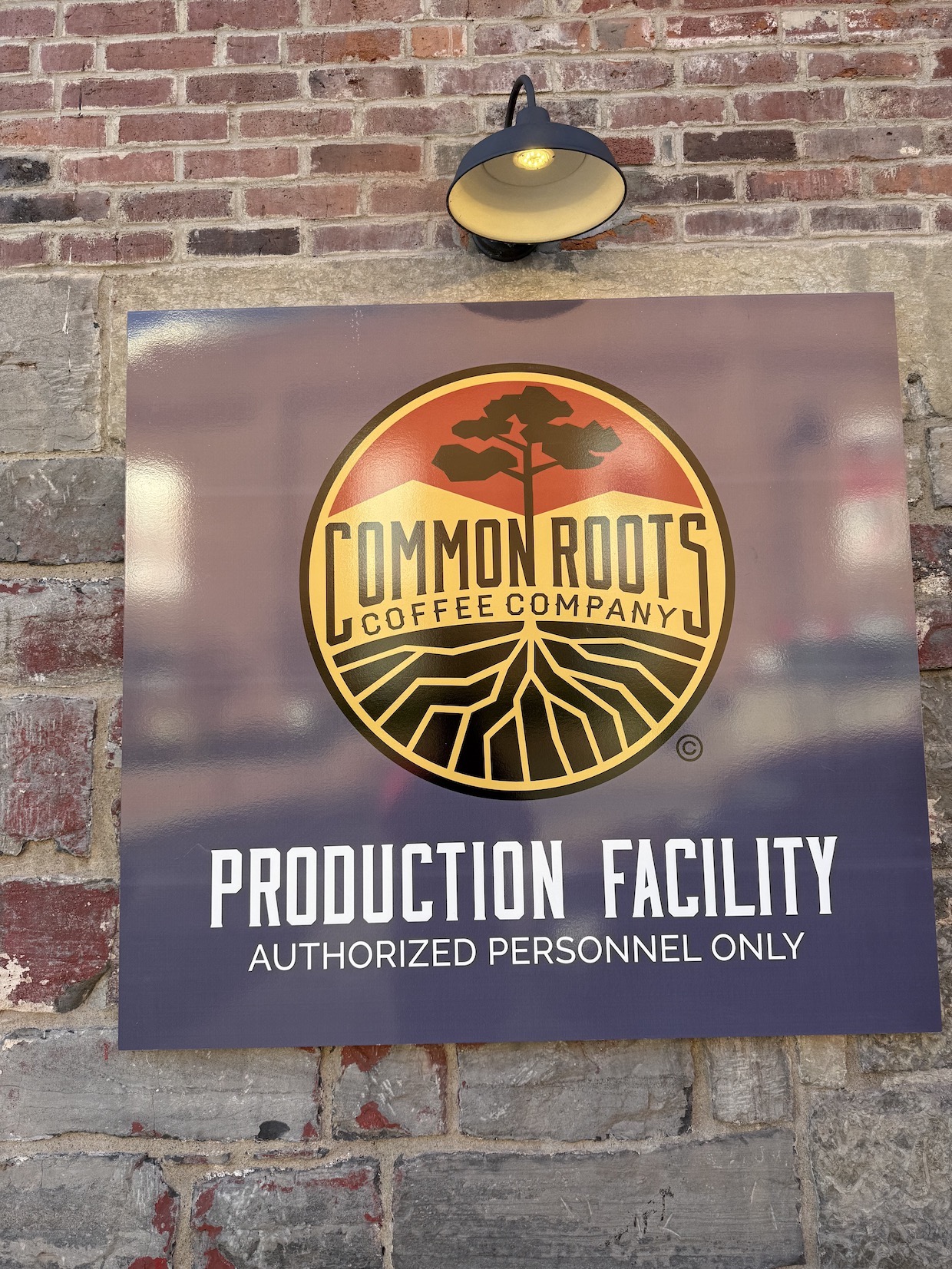 Common Roots coffee roastery 4