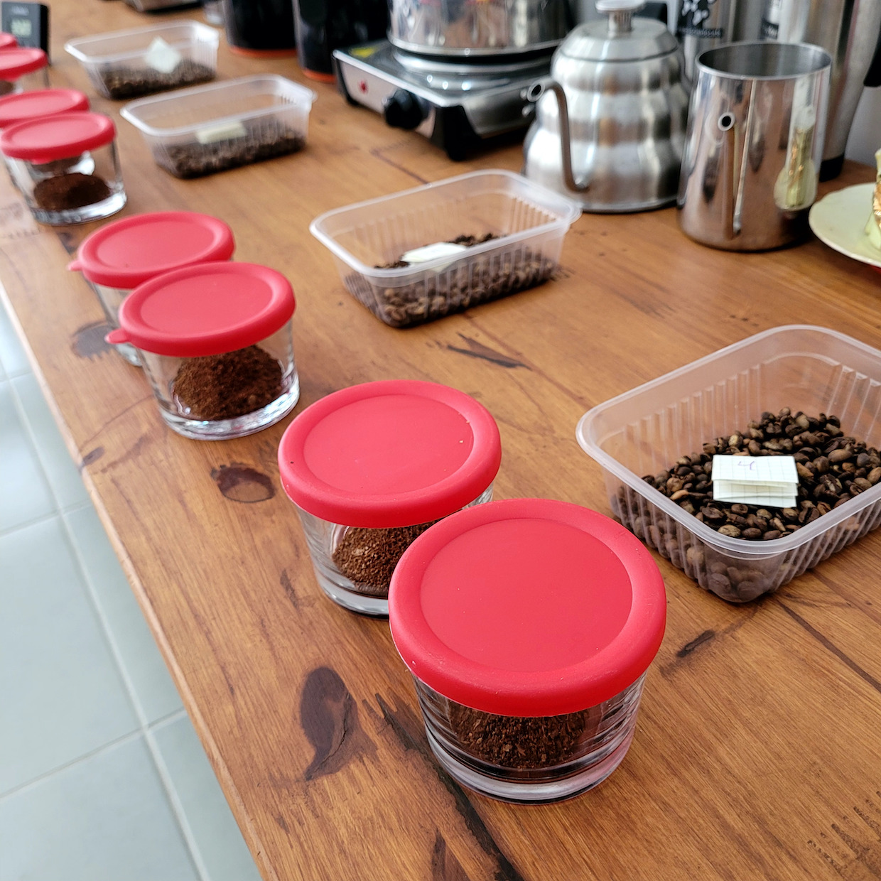 brazil coffee samples