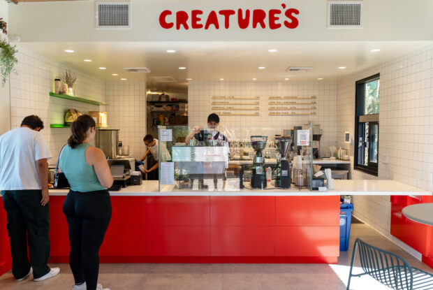 Creatures plants and coffee LA 4