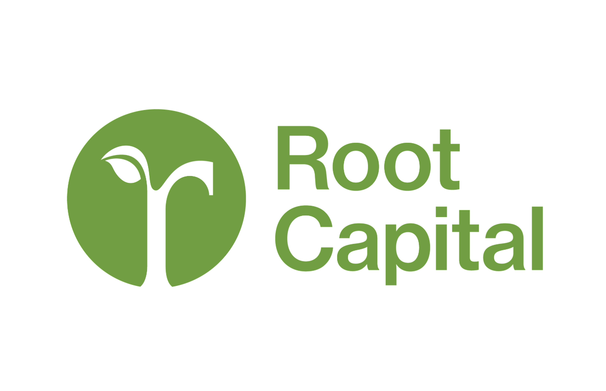 Root Capitol