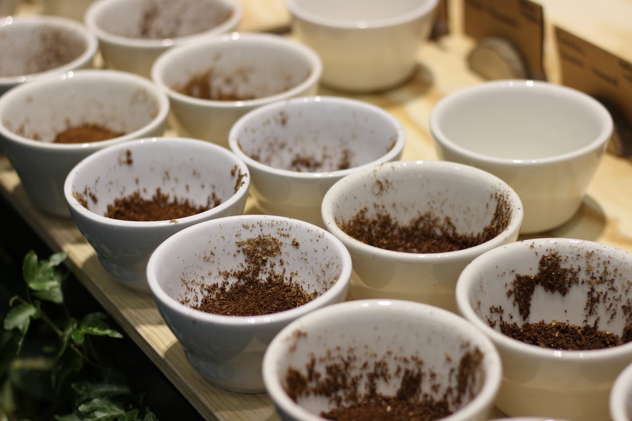 coffee cupping