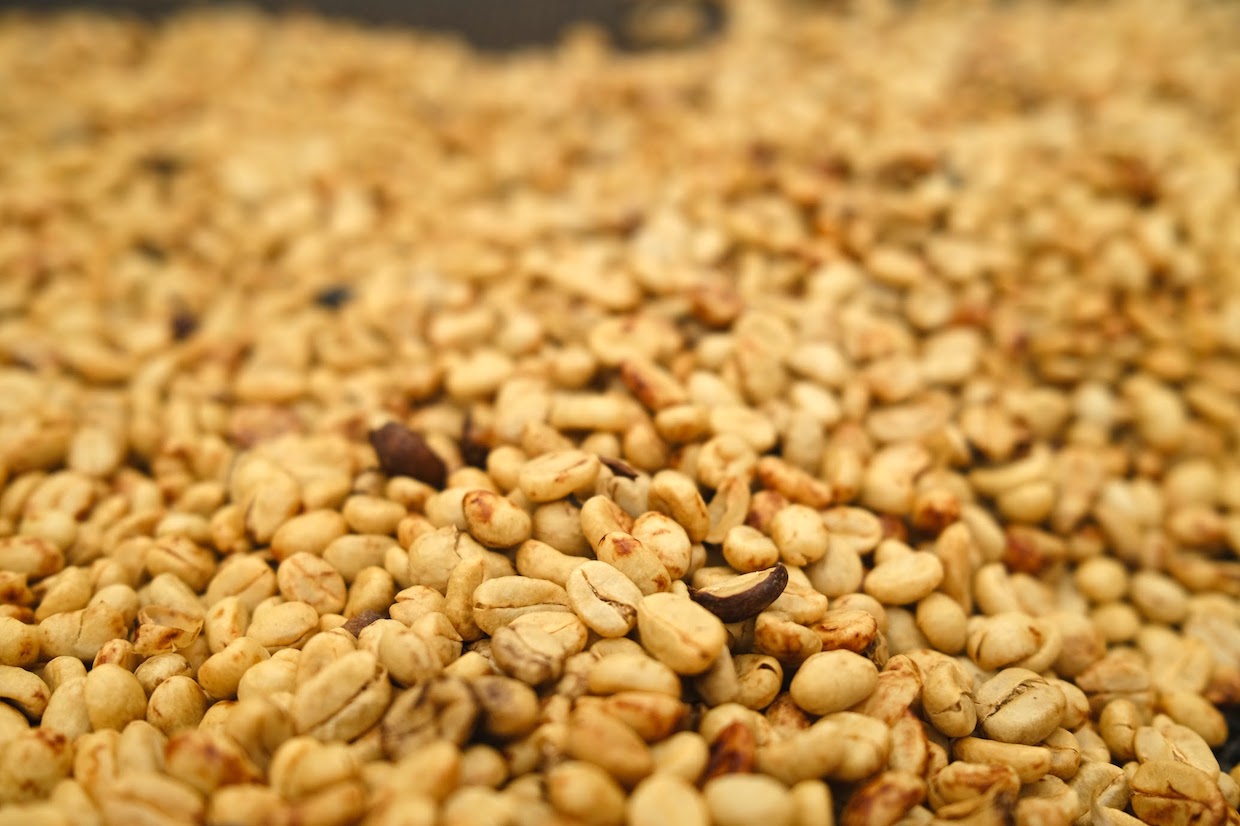 coffee-drying-parchment