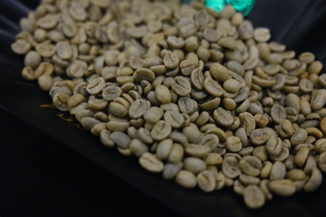 Espresso Science Basis and ZHAW Launch Defects Analysis ProjectDaily Espresso Information by Roast Journal