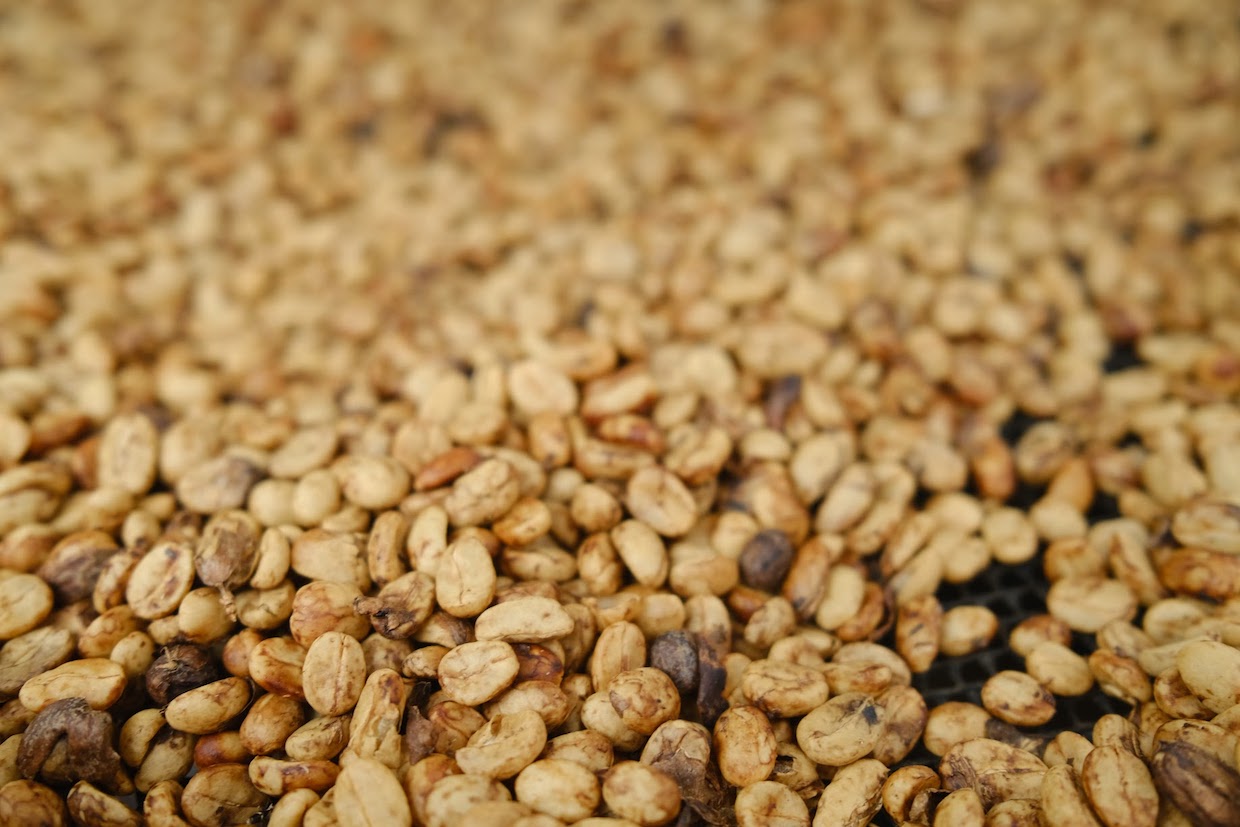 coffee parchment