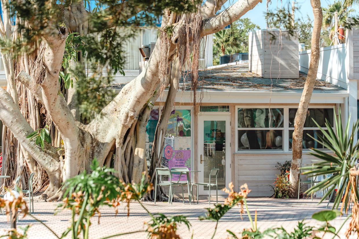 Paradeco Coffee St Pete 3