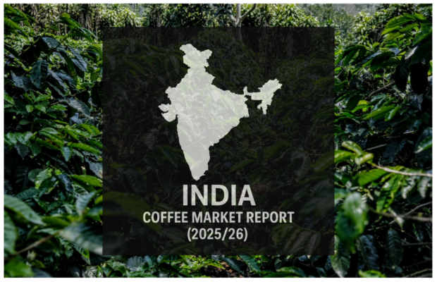 India Coffee Market report