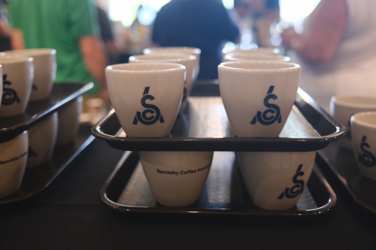 SCA cupping