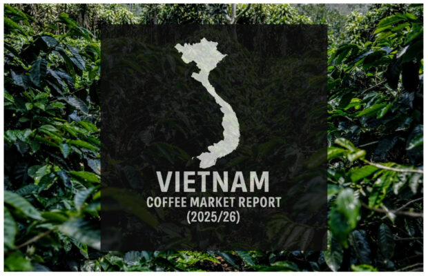 Vietnam final