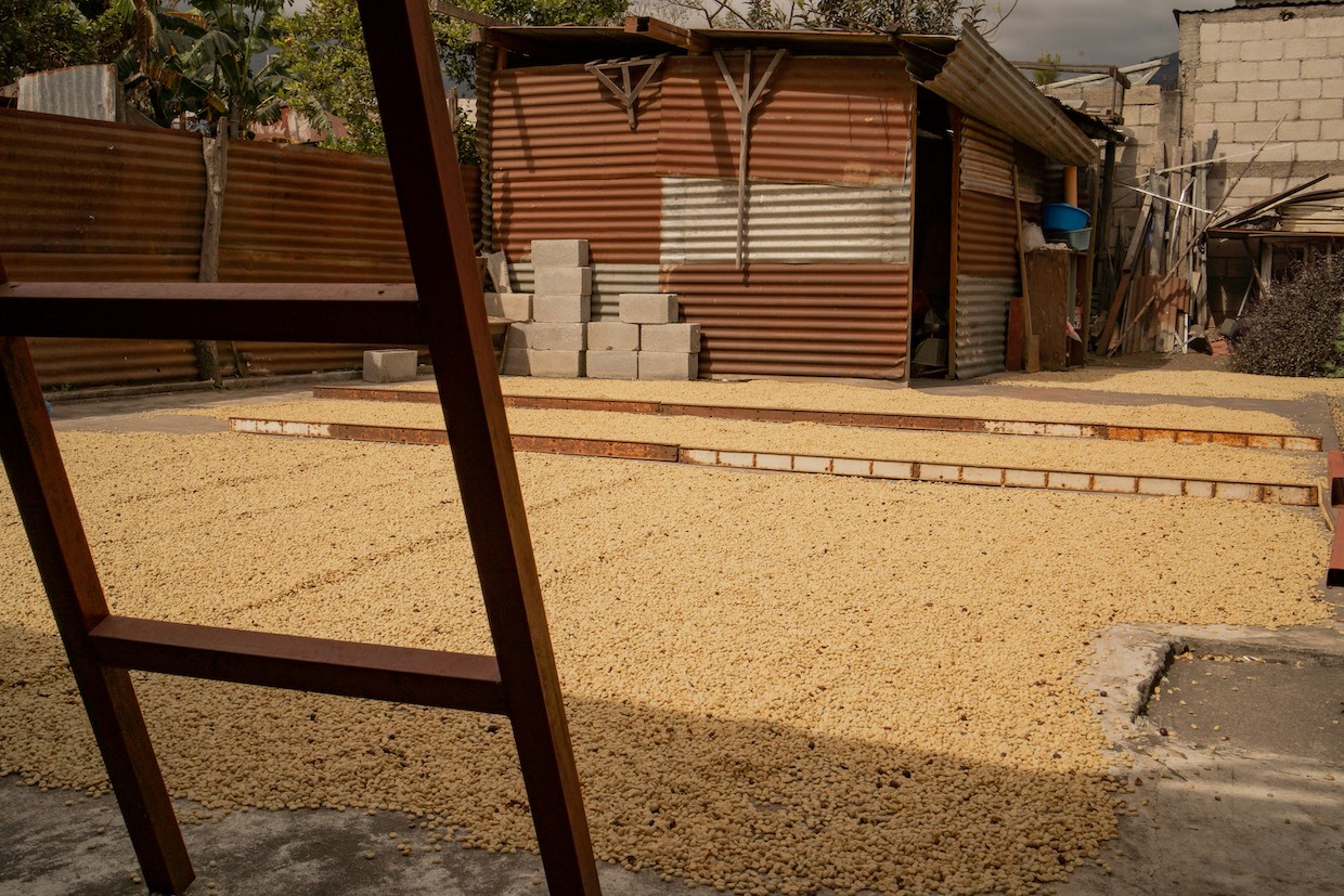 drying patio