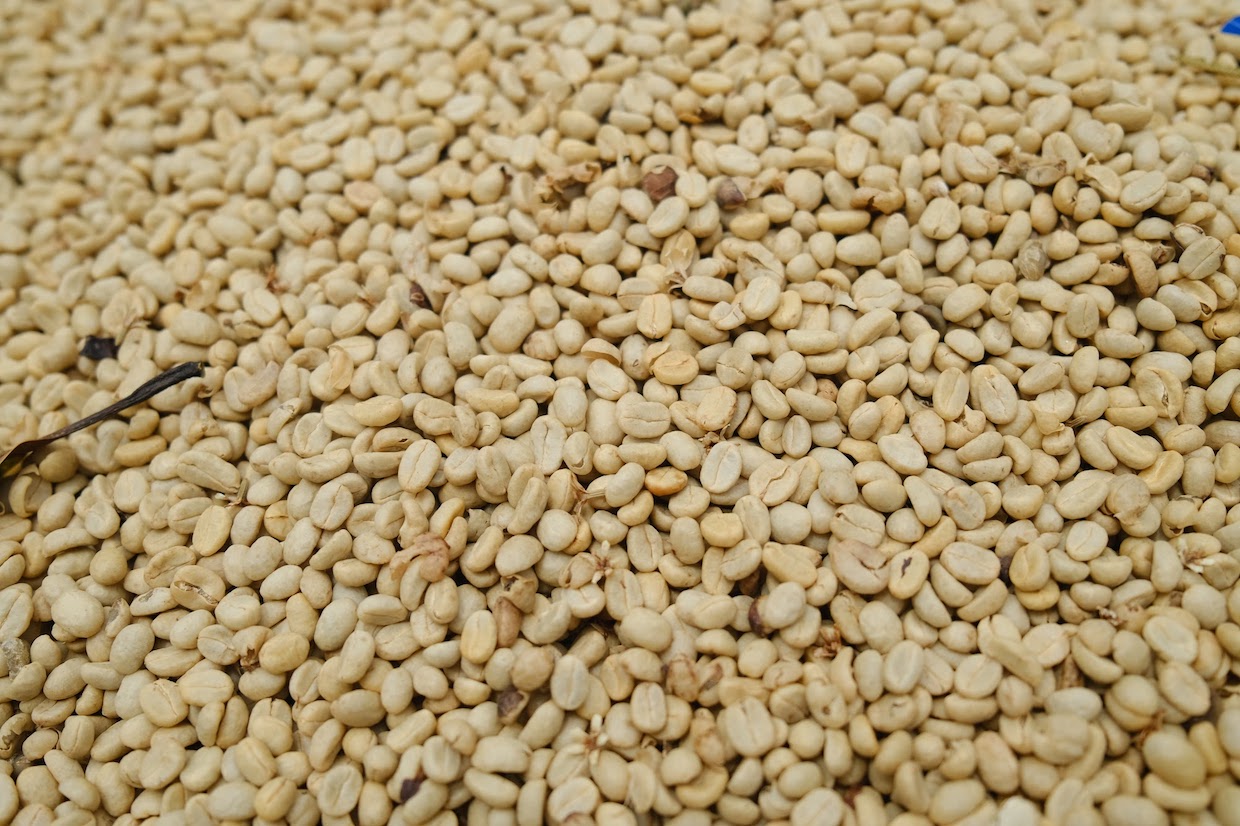 parchment coffee