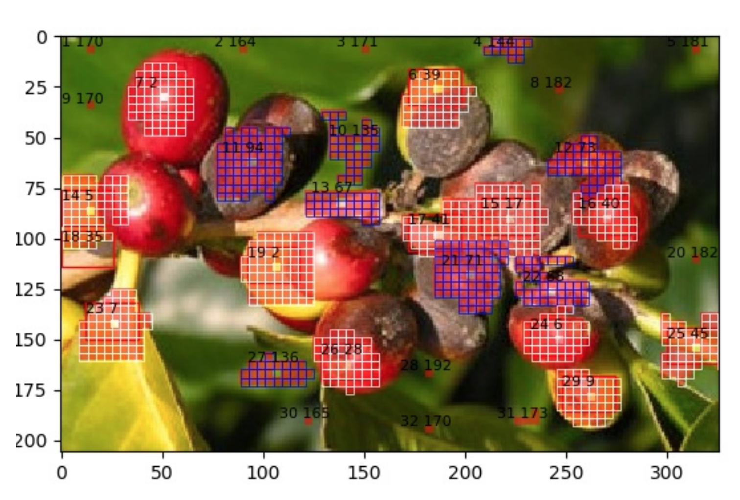coffee berry borer study