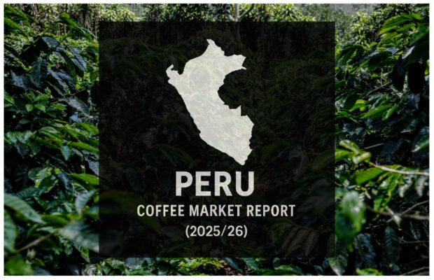 Peru final