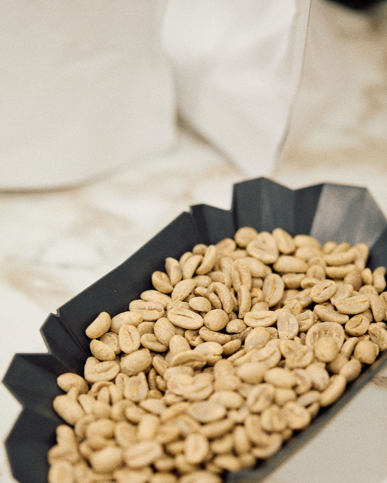 Untold Coffee Lab coffees