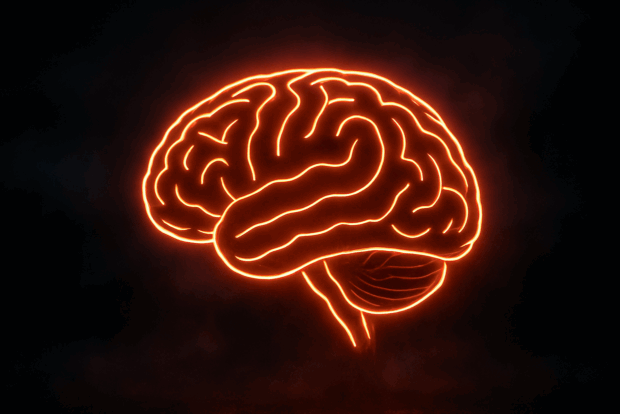 caffeine brain