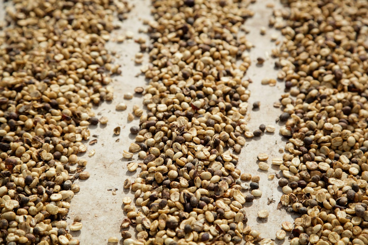 coffee beans