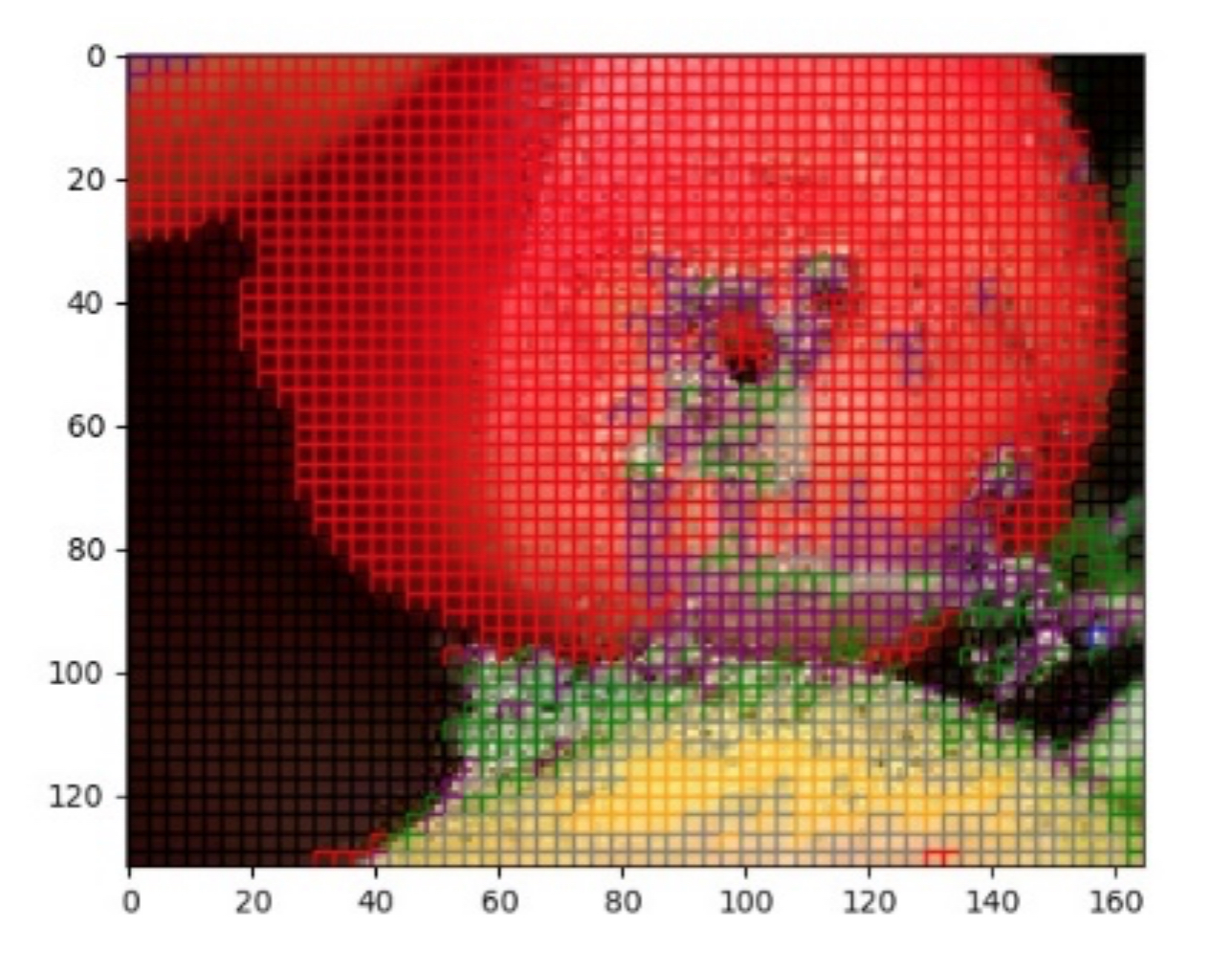 As Espresso Beetles Bore, Researchers Suggest Thrilling Imaging Answer As Espresso Beetles Bore, Researchers Suggest Thrilling Imaging Answer