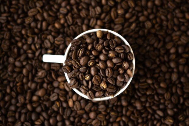 coffee beans