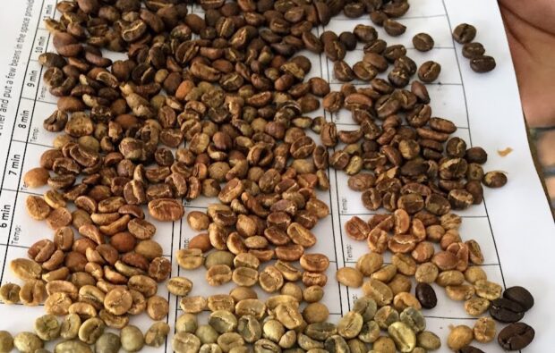 coffee roasted color