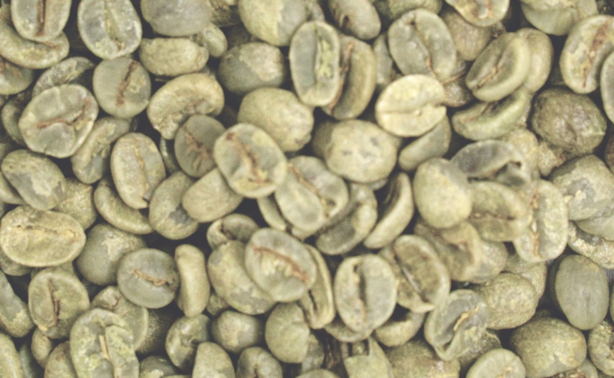 green-coffee-1