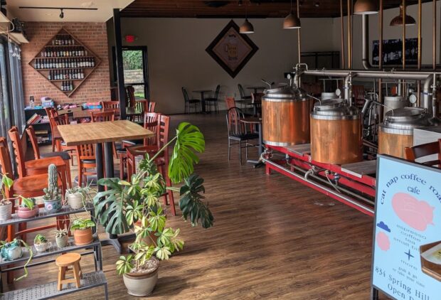 Cat Nap Coffee Staunton Queen City