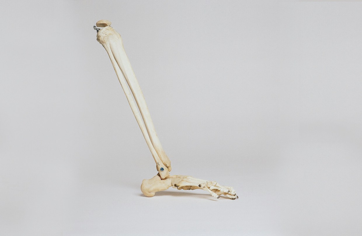 Study: Coffee May Significantly Reduce Osteoporosis Risk