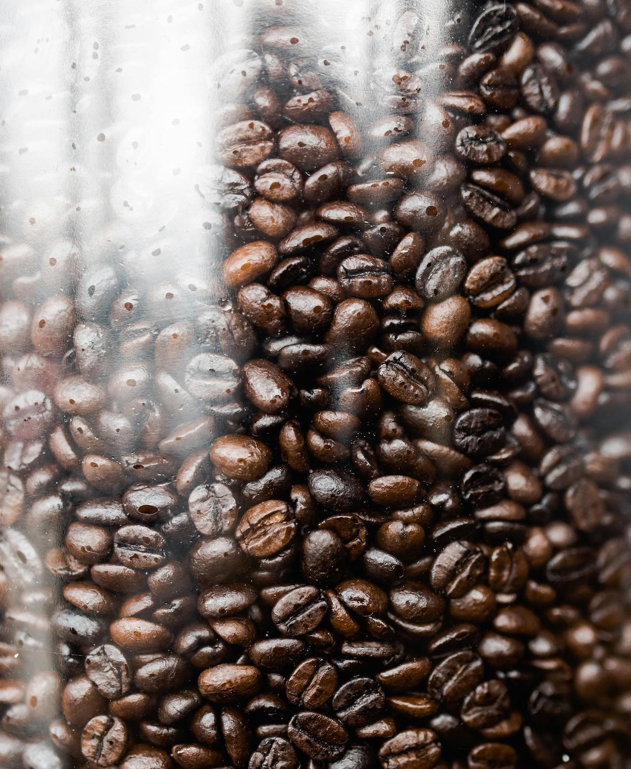 coffee grinder