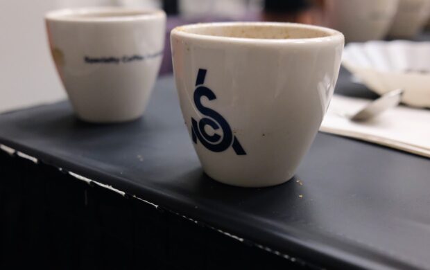 coffee cupping