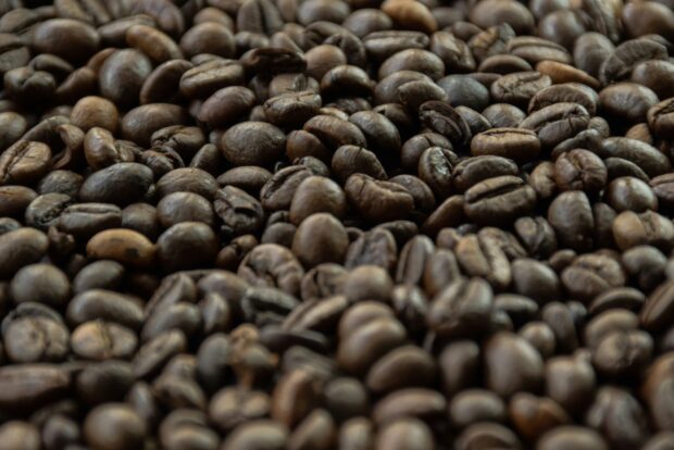 roasted coffee
