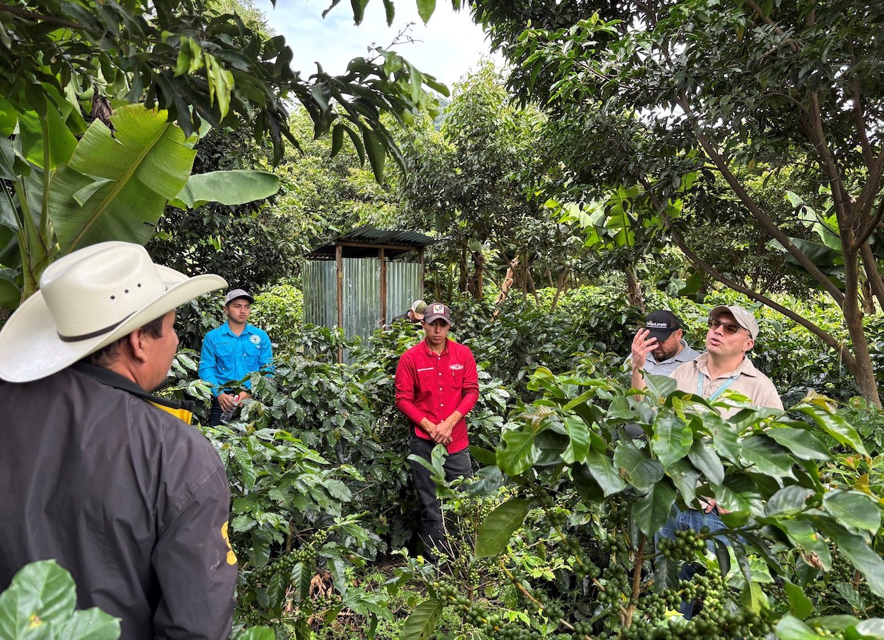 HRNS and Numerous Large Roasters Lead 'Climate-Smart' Project in Honduras