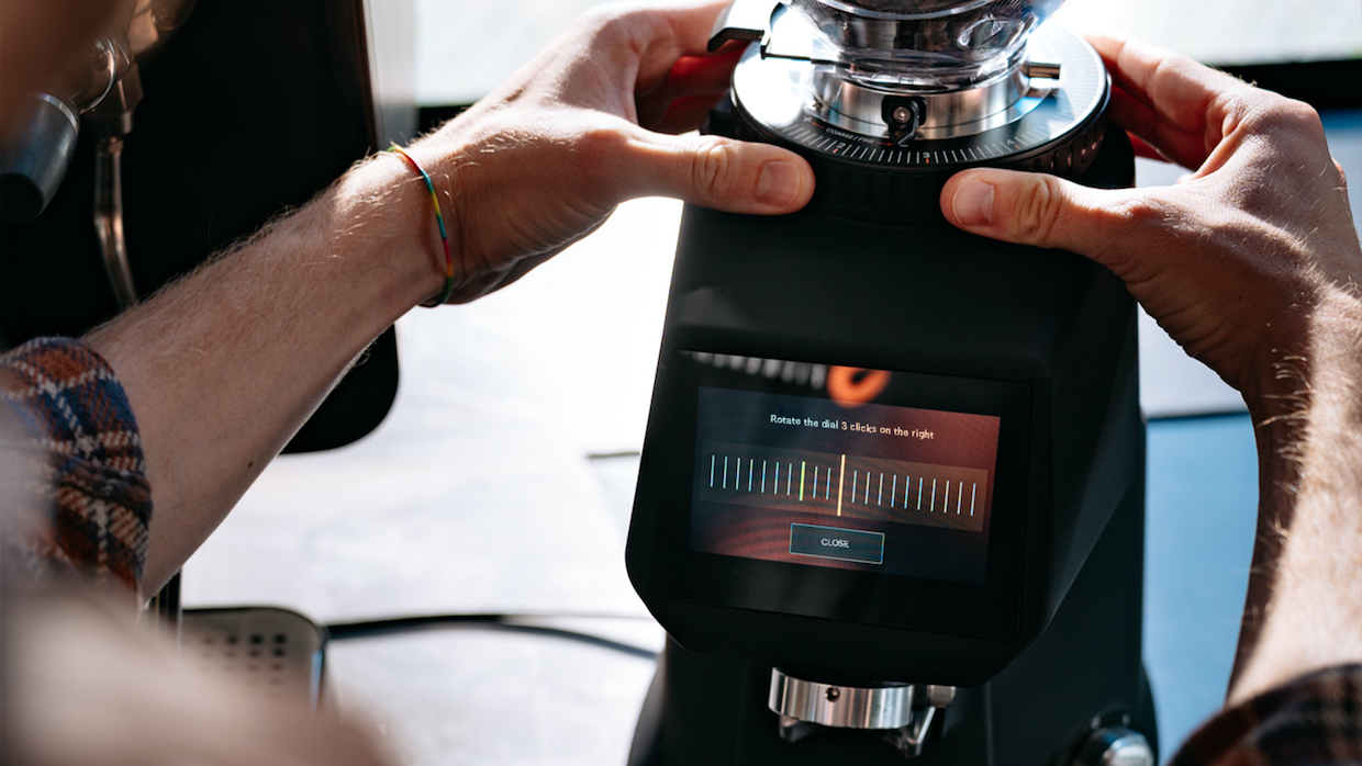 Fiorenzato ring nut 8