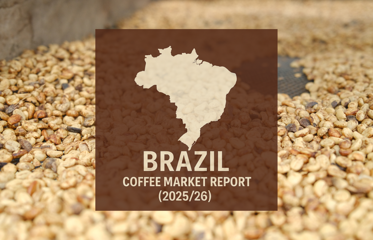 Brazil Coffee Report: Robusta Filling In for Lower Expected Arabica Output