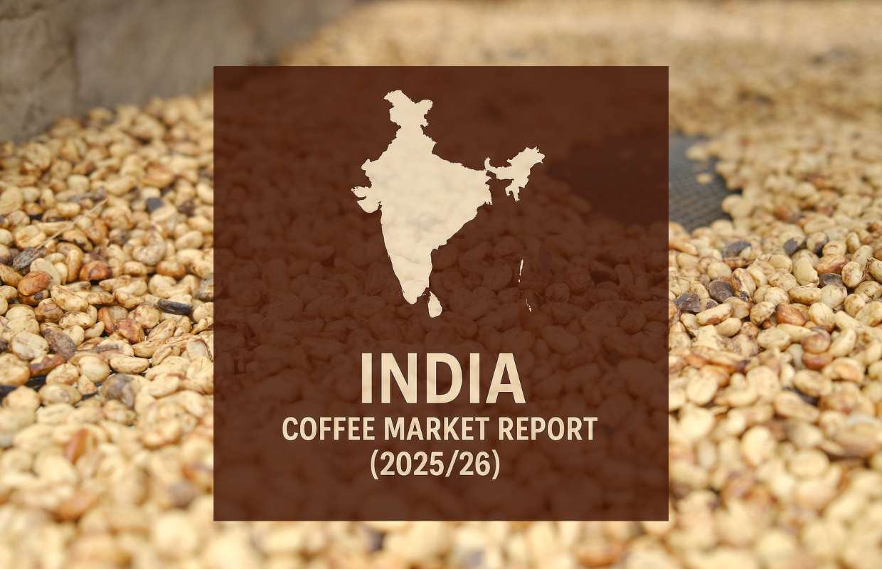 India Coffee Report: Production Down Slightly as Brazil Competition Picks Up