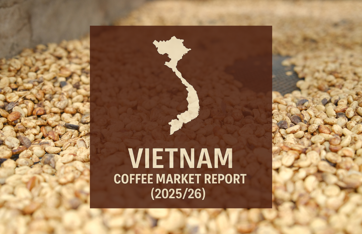Vietnam Coffee Report: Record-High Prices Drive Robusta Production