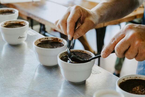 coffee cupping