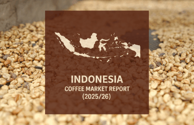 Indonesia Coffee Report