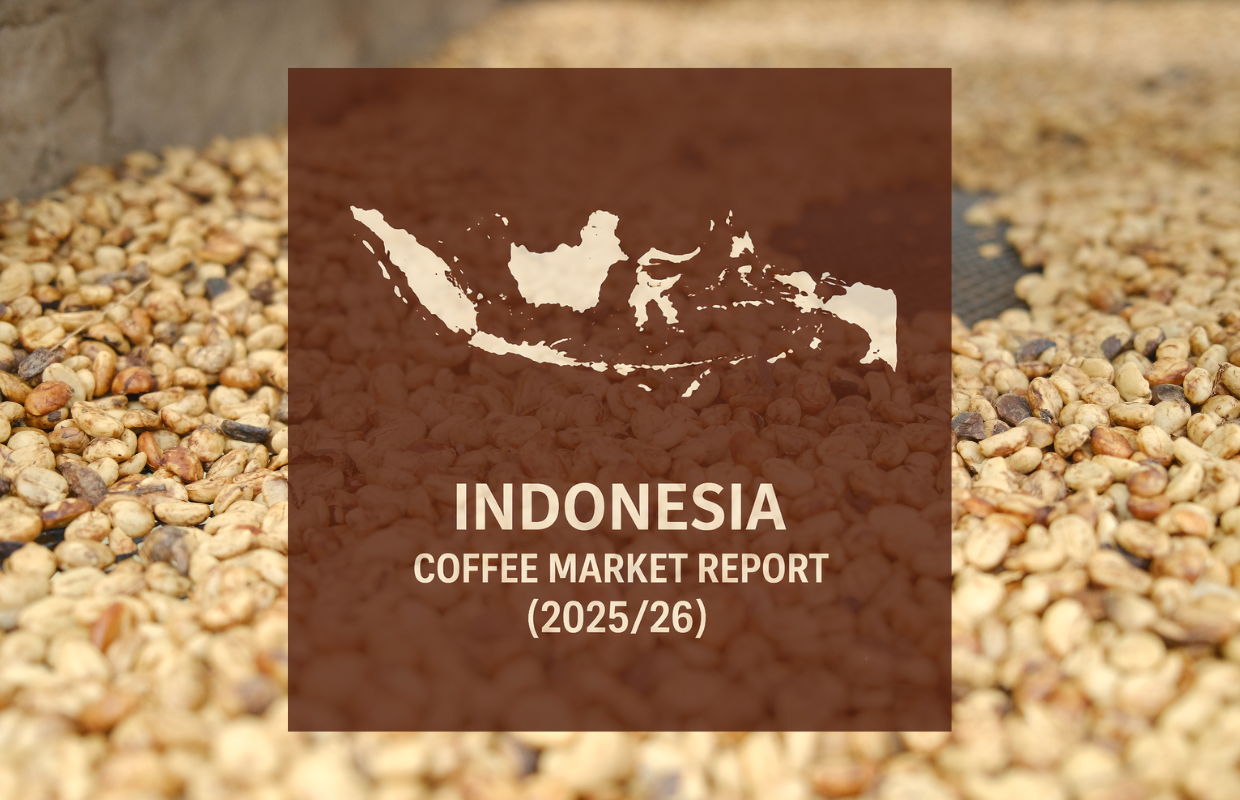 Indonesia Coffee Report: Robusta Booming as Demand Builds