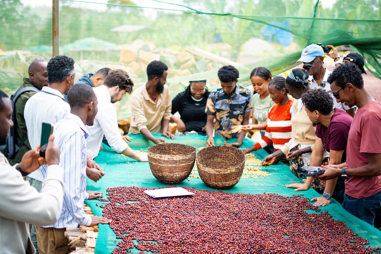 CQI-Global-Coffee-Fund-2