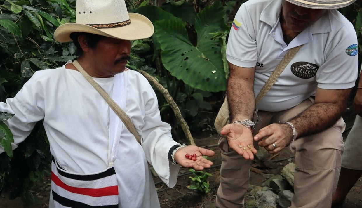 coffee farmer colombia