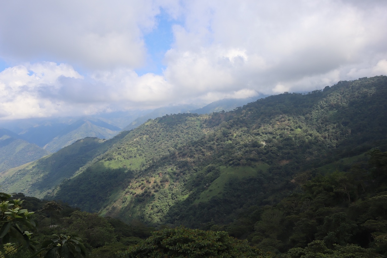 View-over-coffee-plantations-in-Sierra-Nevada