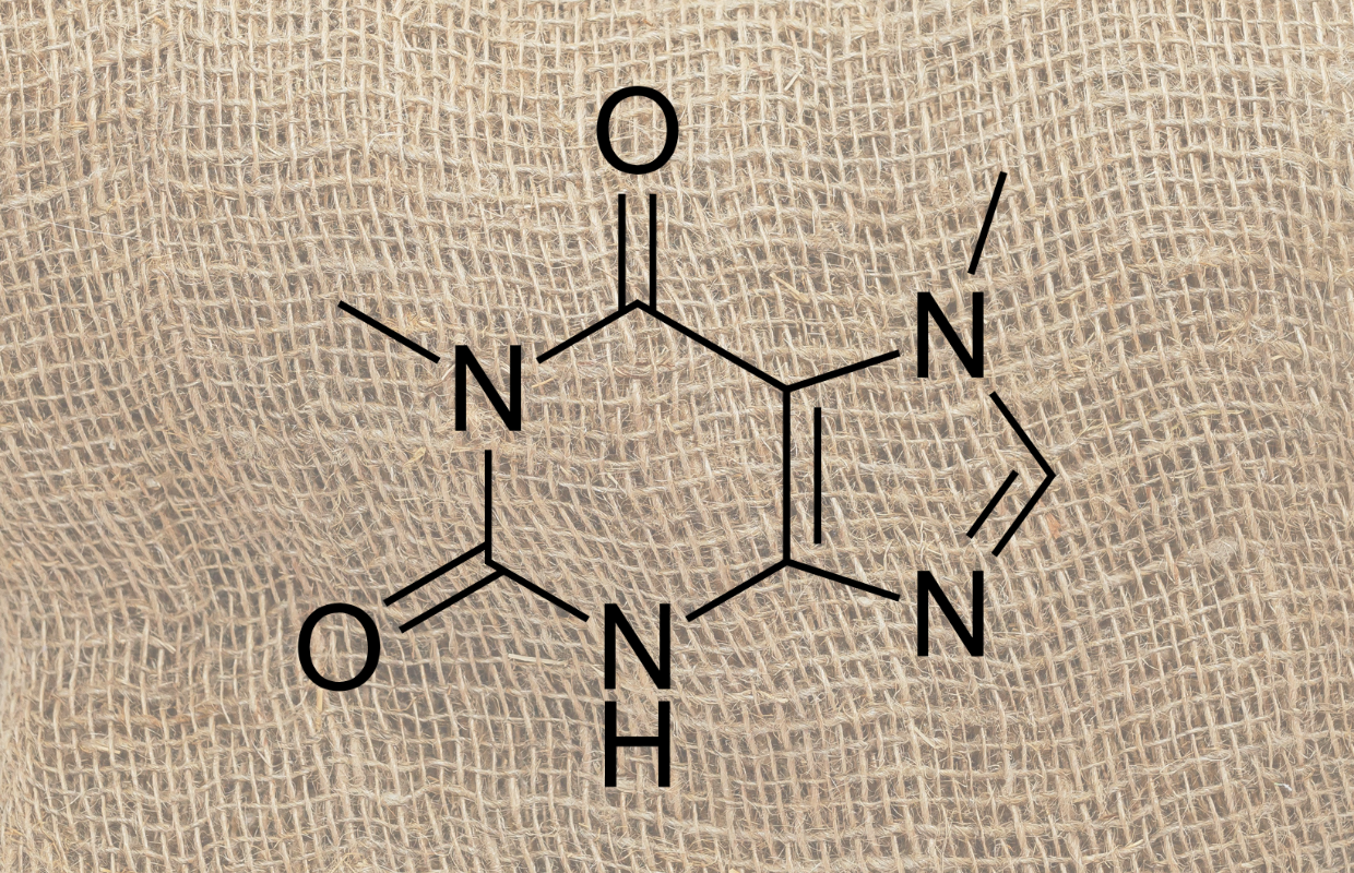 paraxanthine daily coffee news image