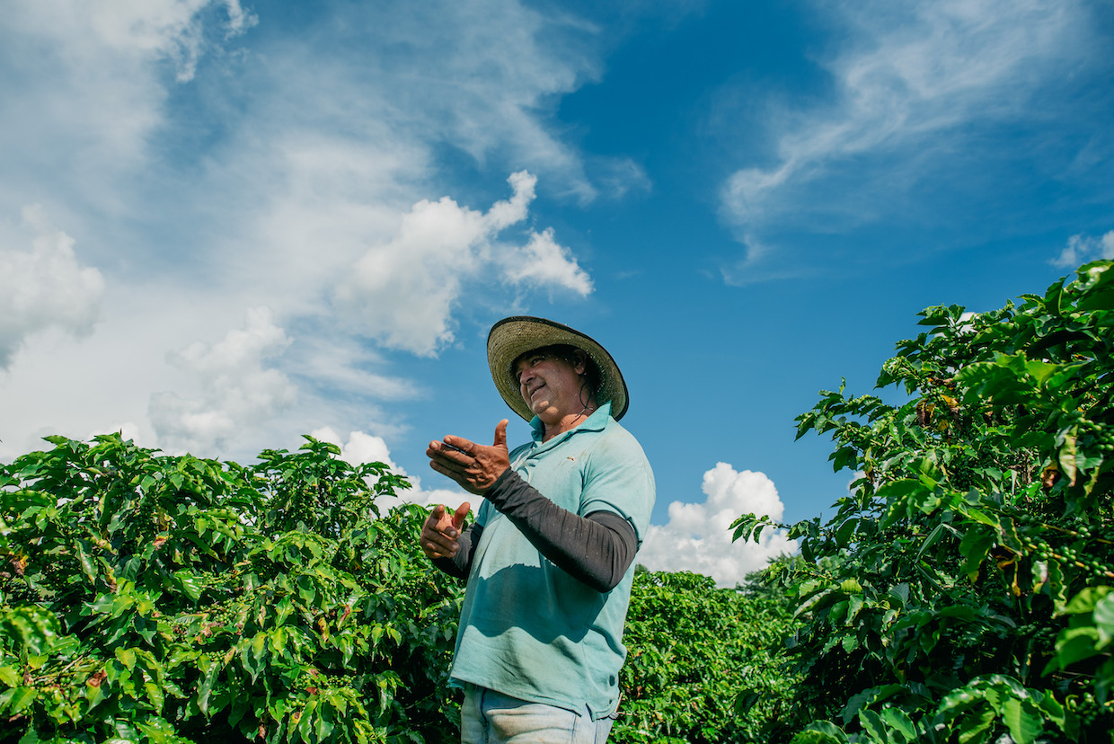 20260113_Edson-Paes_coffee-producer_Poco-Fundo-MG_Brazil_Lucas-Ninno_Dialogue-Earth