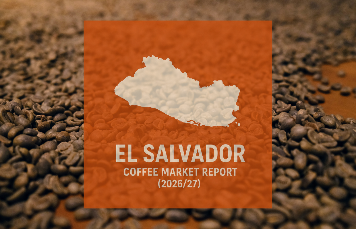 El Salvador Espresso Report: Manufacturing Declining Amid Structural Challenges El Salvador Espresso Report: Manufacturing Declining Amid Structural Challenges