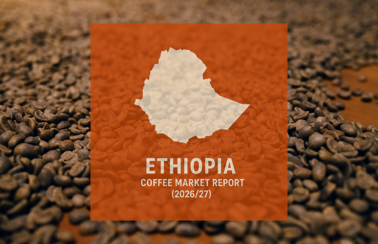 Ethiopia Coffee Report: Production Up, Government Promoting Modernization