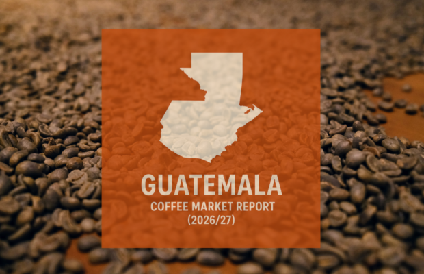 Guatemala market report