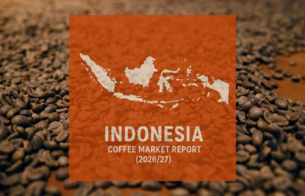 Indonesia Coffee Report: Production Predicted to Drop 8% in 2026/27
