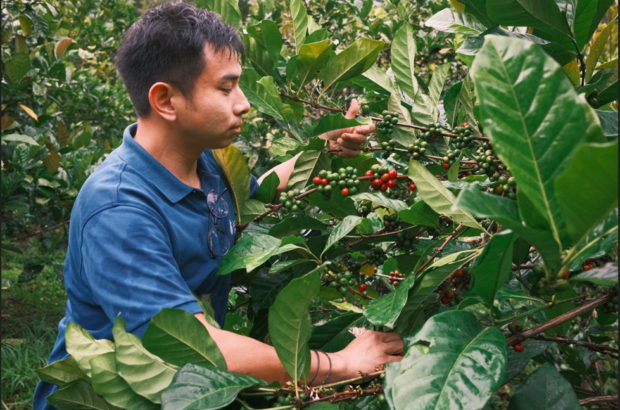 Kenny Wee Ting Lee with Libex coffee in the Upper Baram Valley, Sarawak – CREDIT – © Rave Sun Kwok